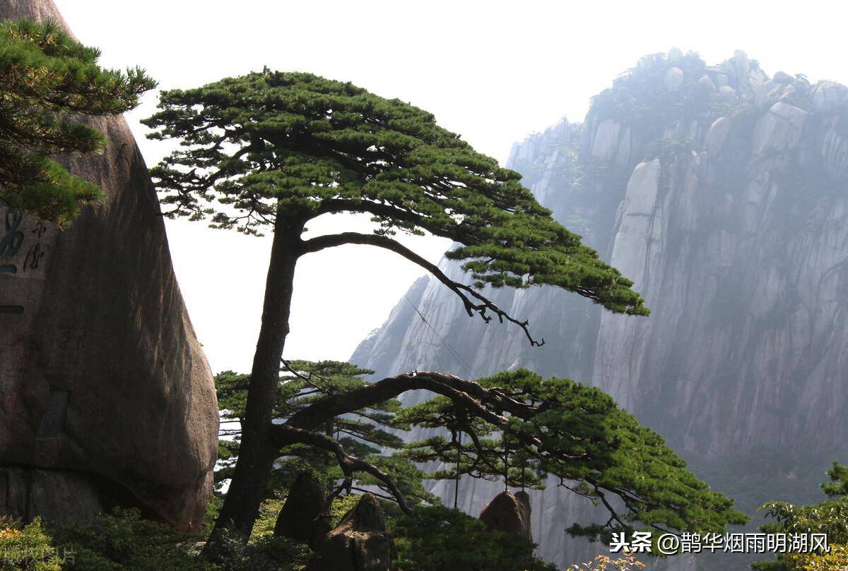 中国的四大名山到底是哪四座？终于搞清楚了