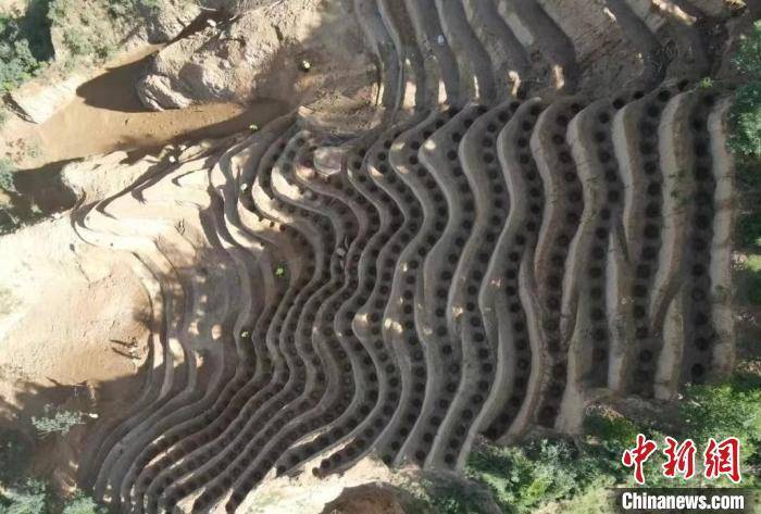 擦干黄土高原的“眼泪” 山西石楼千沟万壑中治理水土流失