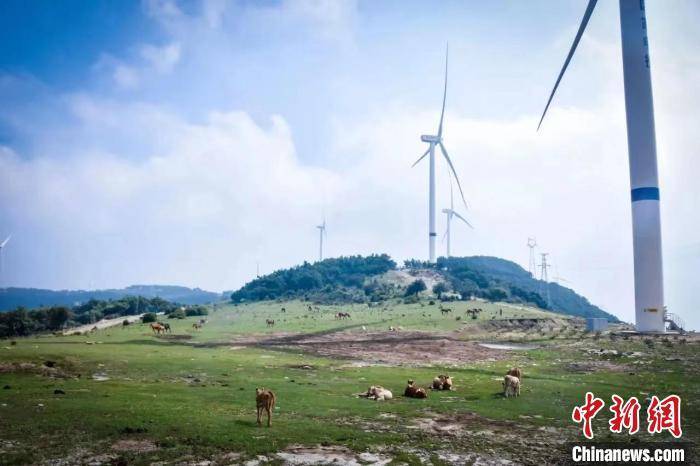 擦干黄土高原的“眼泪” 山西石楼千沟万壑中治理水土流失