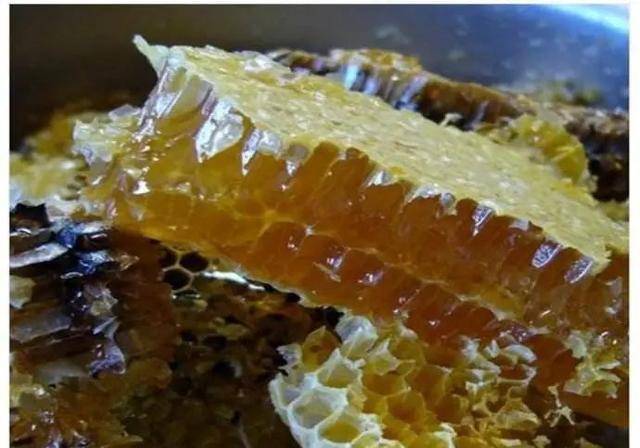 养蜂人给蜜蜂喂白糖，蜜蜂知道吗？看蜜蜂对待白糖的方式就知道