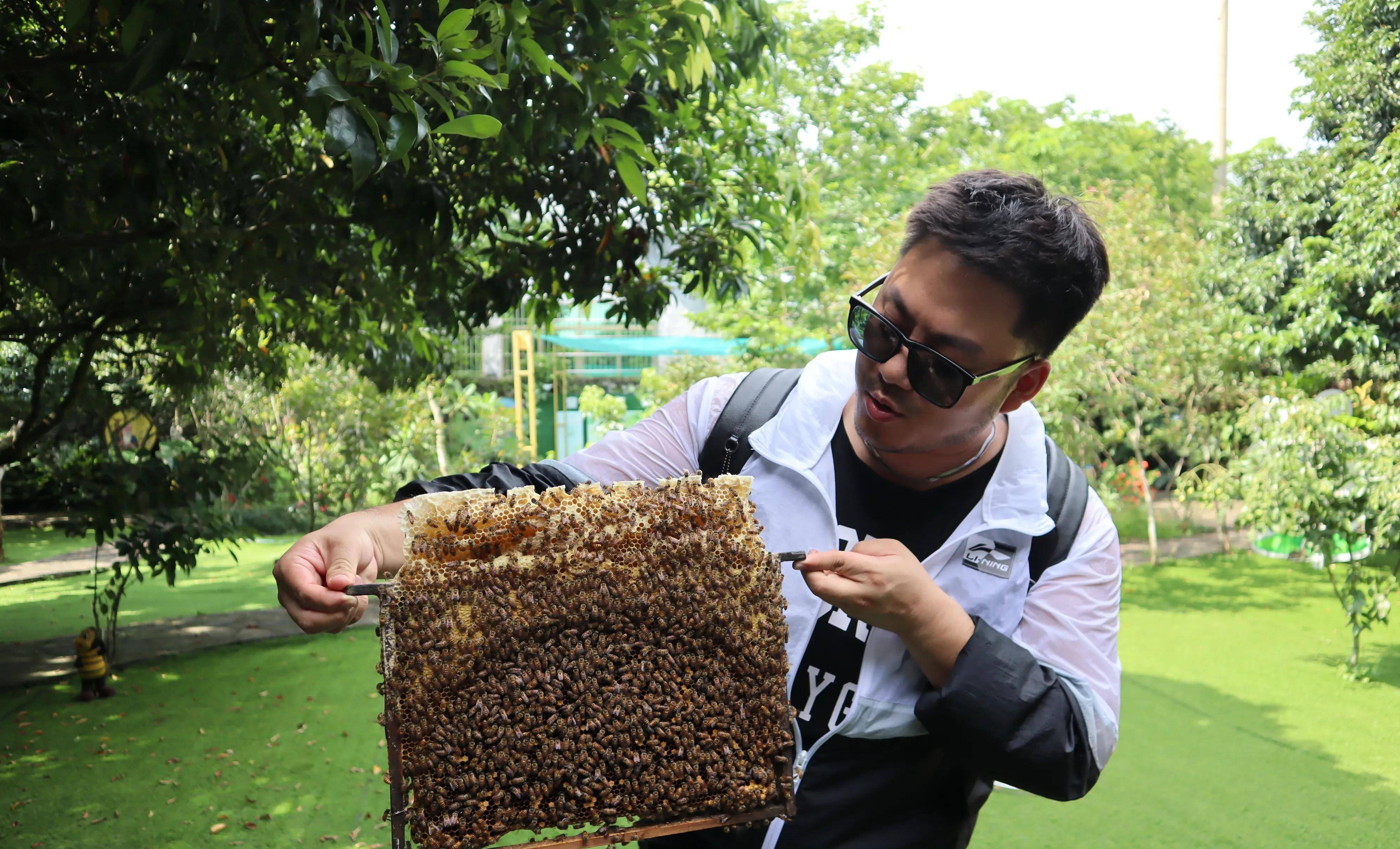 探访海口永兴镇的卓津蜜蜂王国乐园，感受这里的蜜蜂文化