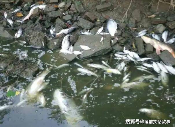 我国公认“最脏”的4种鱼肉，含有大量寄生虫，你家吃过哪几种？