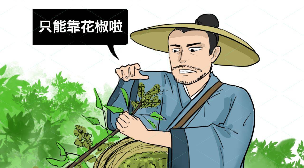 辣椒传入中国前，无辣不欢的四川人吃什么？调料今天很常见