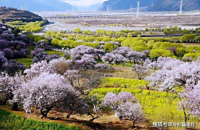 中国春天适合自驾的6条线路，3月沿途美成天堂，看到第一条就想出发