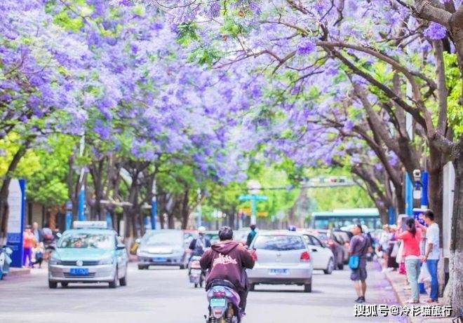 中国春天适合自驾的6条线路，3月沿途美成天堂，看到第一条就想出发