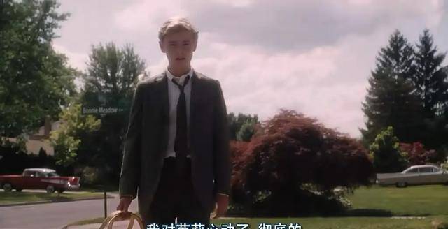 《怦然心动》：斯人若彩虹，遇上方知有
