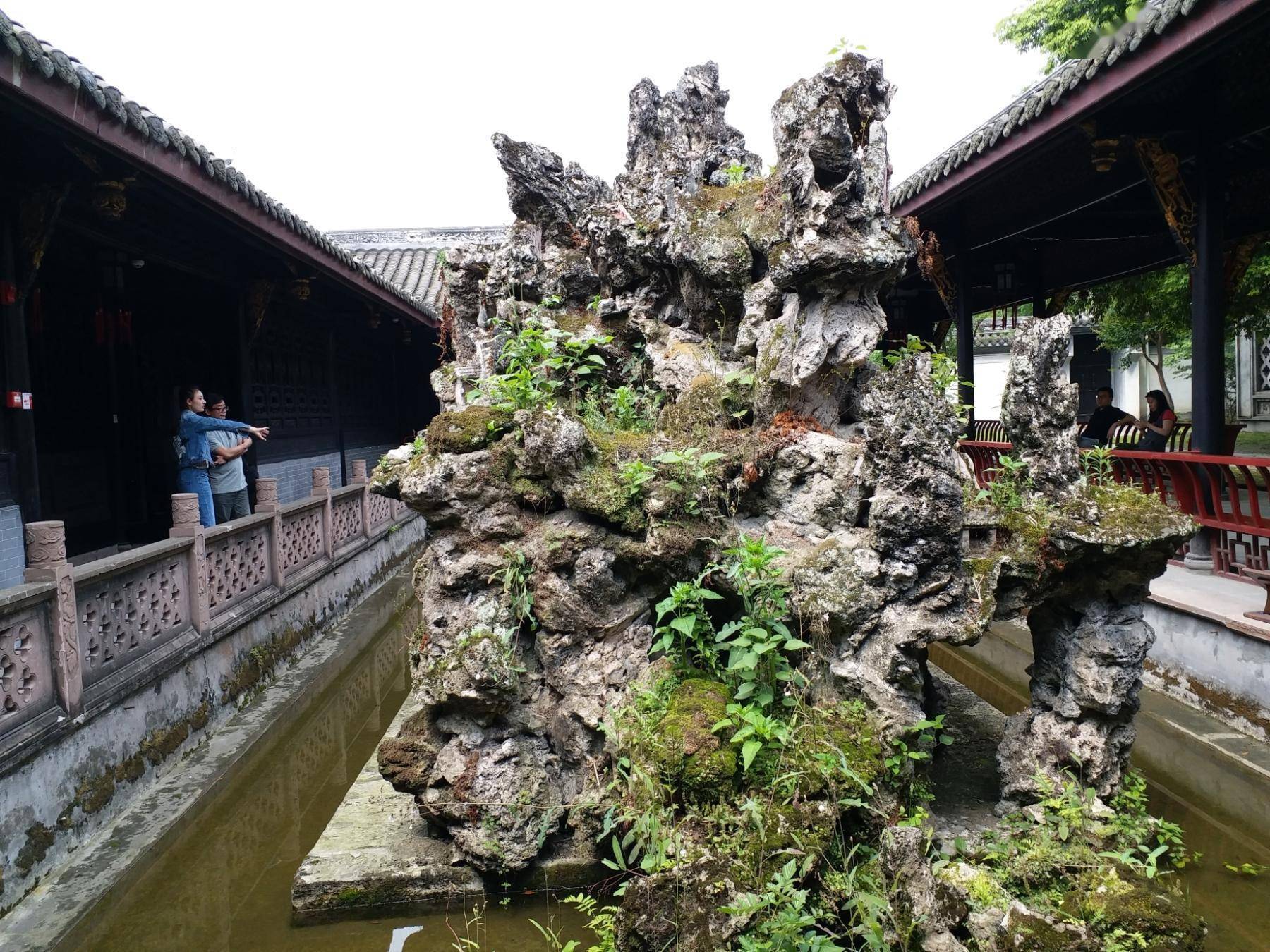 寻芳公园城丨川派盆景：一盆一世界