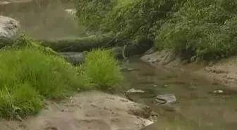 蒲花河“三潮水”究竟是什么奇特现象