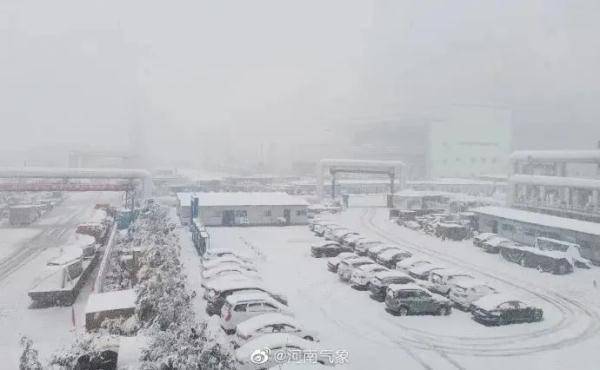 别的地方在下雪，广东人却还穿着短袖赏花？冷空气何时来？