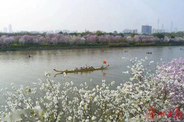 别的地方在下雪，广东人却还穿着短袖赏花？冷空气何时来？