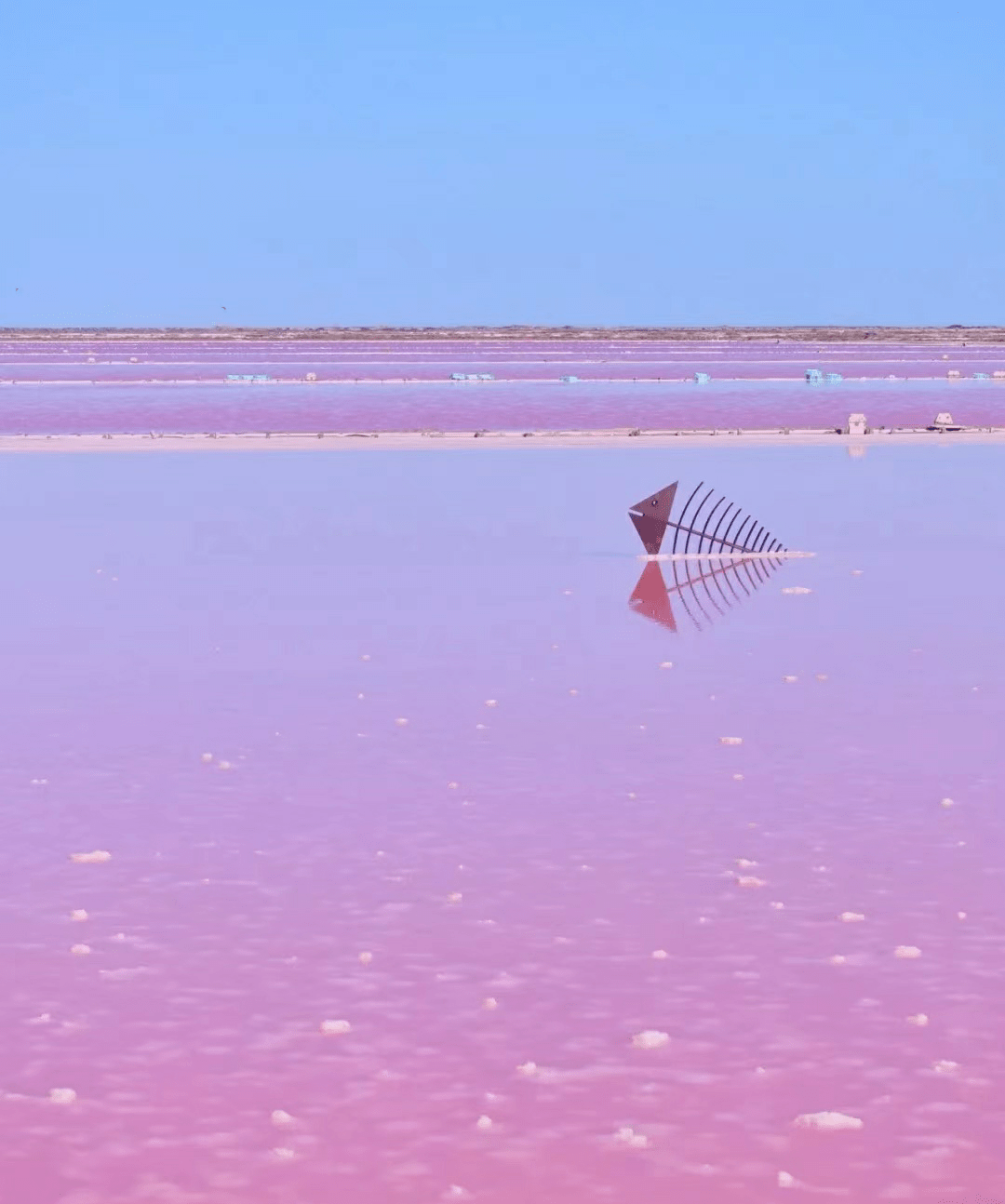 世界十大绝美粉色海滩丨美到炸裂丨网红打卡景点丨随便一拍就是美图的宝藏景点