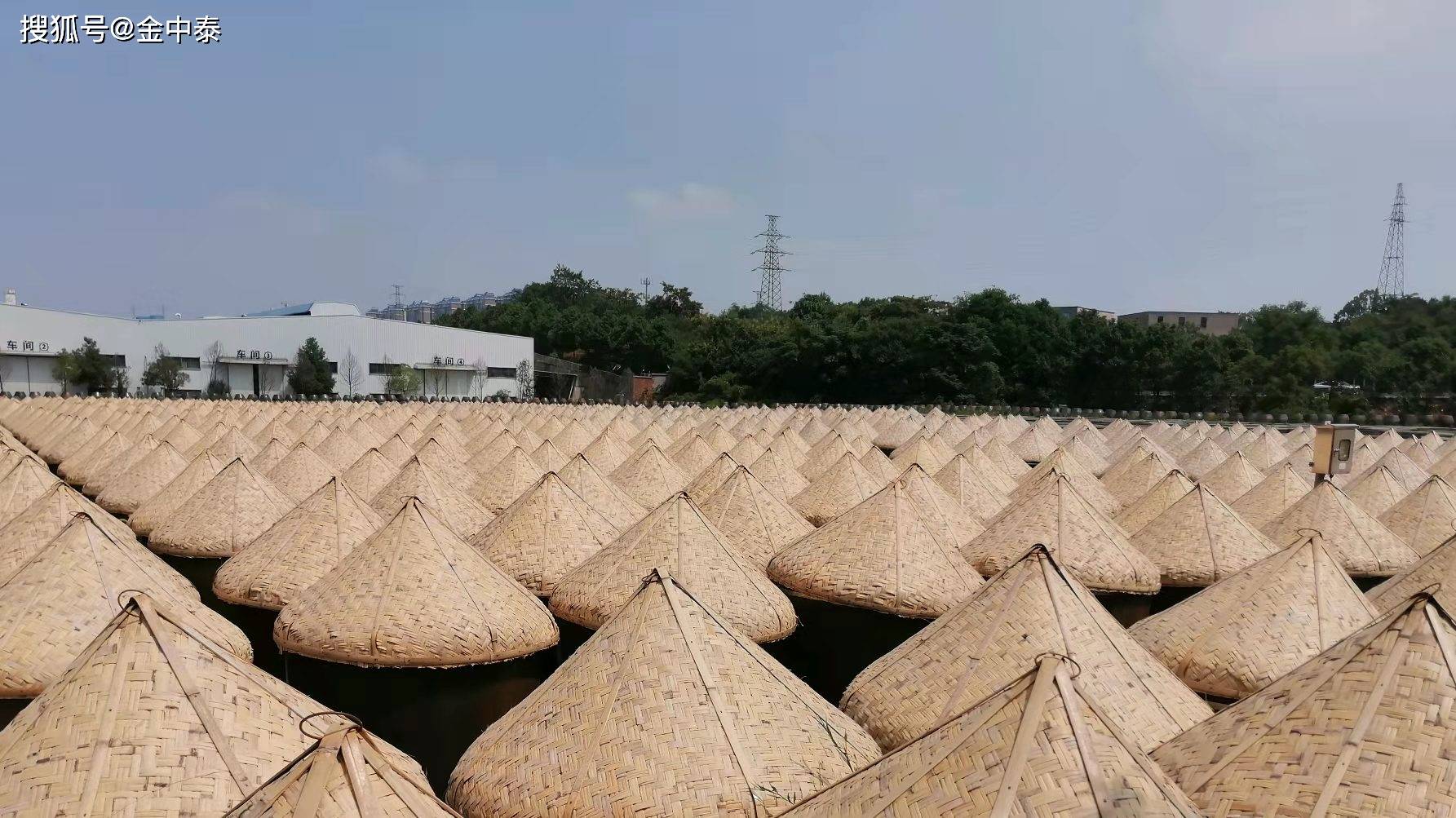 访--山东齐河酿造竹缸帽编织传人;马加强