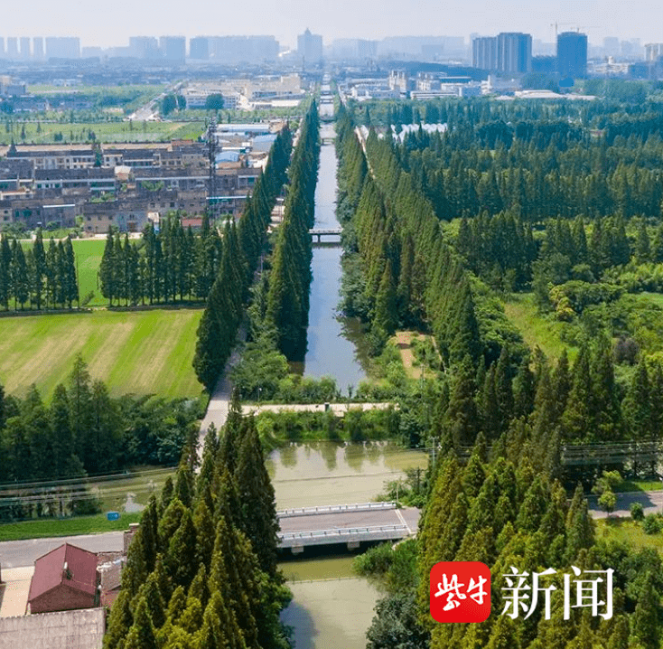 泰兴济川街道耿戴村： 学习贯彻二十大精神 着力解决民生实事问题