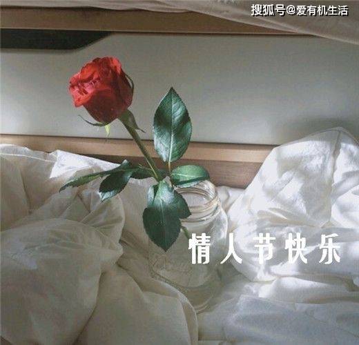 情人节送女朋友什么礼物好？2023情人节送老婆女朋友礼物推荐