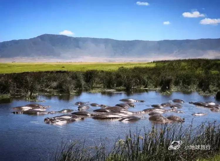 看这一篇就够了！史上最好最详细深度的坦桑尼亚旅行攻略，没有之一