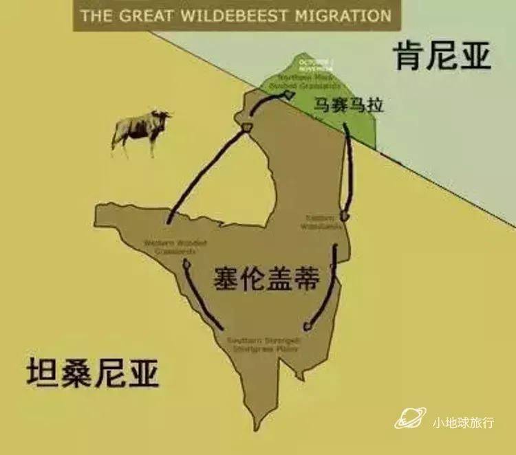看这一篇就够了！史上最好最详细深度的坦桑尼亚旅行攻略，没有之一