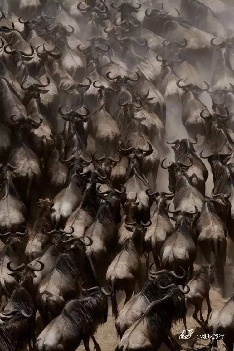 看这一篇就够了！史上最好最详细深度的坦桑尼亚旅行攻略，没有之一