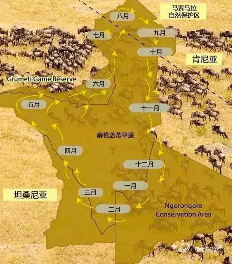 看这一篇就够了！史上最好最详细深度的坦桑尼亚旅行攻略，没有之一