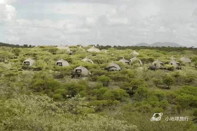 看这一篇就够了！史上最好最详细深度的坦桑尼亚旅行攻略，没有之一
