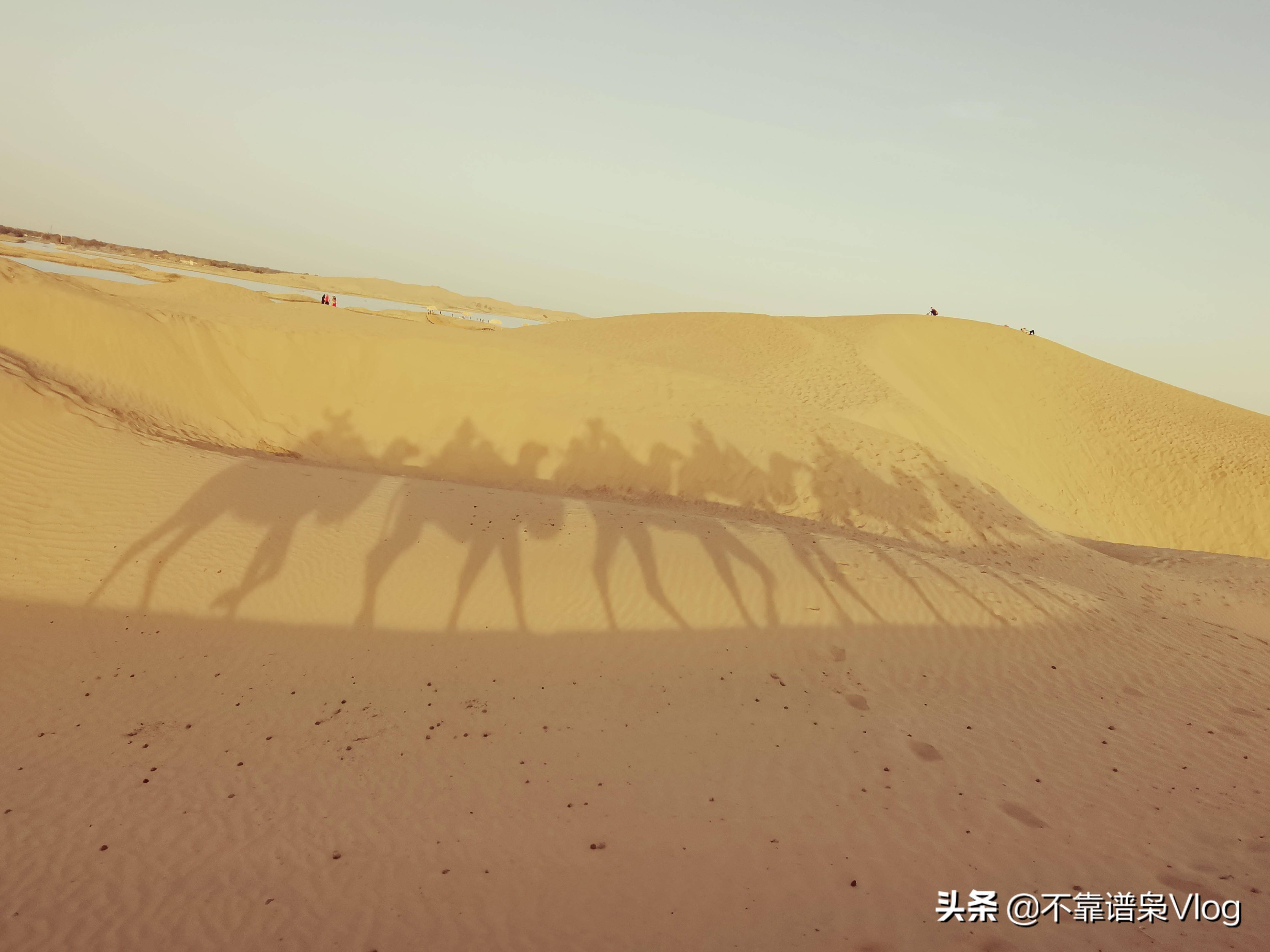 新疆之旅，沙漠中的世外桃源，罗布人村寨