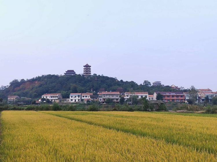 黄梅蔡山的传说（三）江心寺开后门的传说