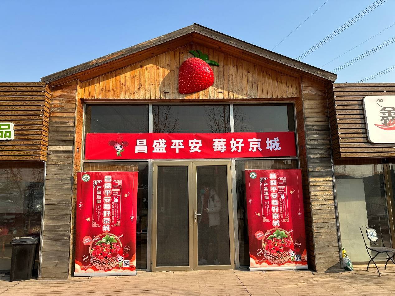 节气看乡村·振兴更“京”彩|雨水节气科技促发展 草莓展新颜