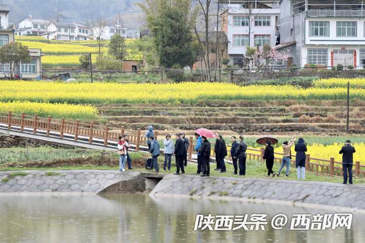 国家灌排委专家组来汉阴核查评估凤堰古梯田申报“世界灌溉工程遗产”相关情况