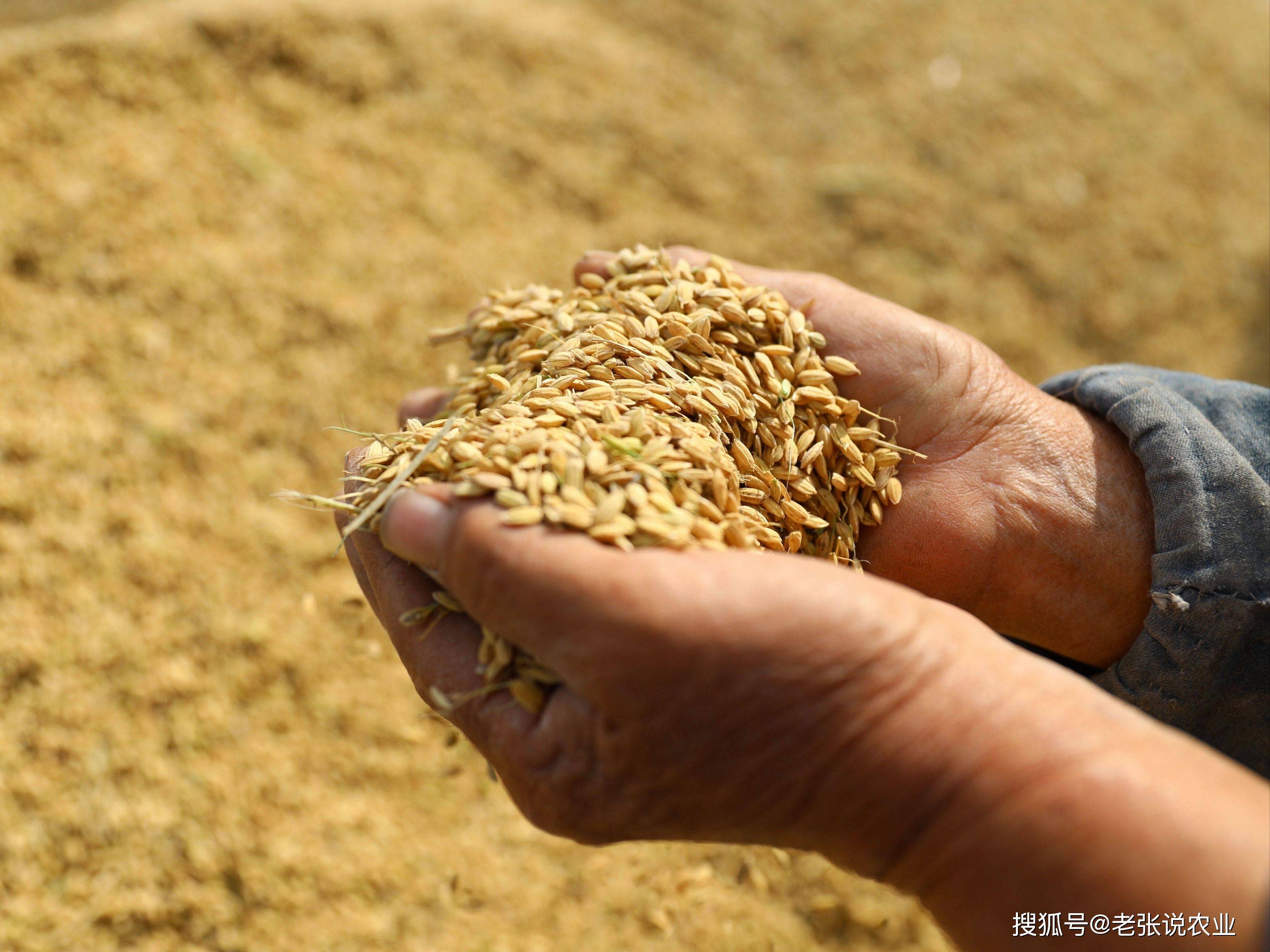 因为它，我少赔6万余元