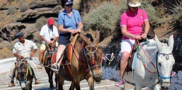 旅游的那些奇闻怪事！巴黎露天便池引来嘲讽，希腊体胖者禁止骑驴