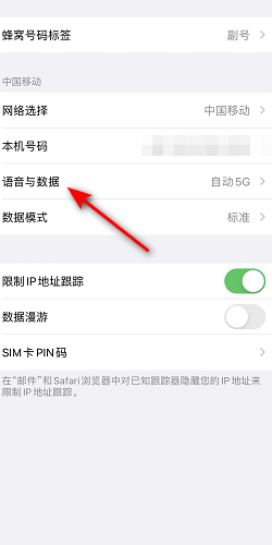如何在iPhone上开启5G网络SA服务