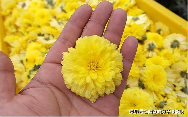 立秋将至，建议牢记“1贴2啃3喝”，顺时而食，清爽美味寓意好