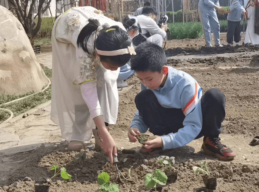 北京一帮小学生，“一亩地”里上课！课程表排挺满——