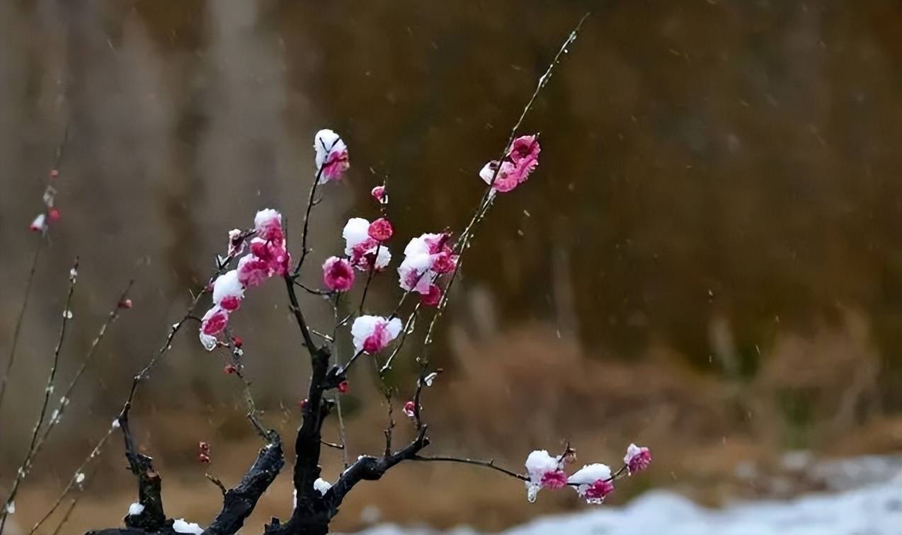 【原创诗词】三人行 | 戴月勤耕，拥岚长坐，淡人间凉薄（诗词唱和六首）
