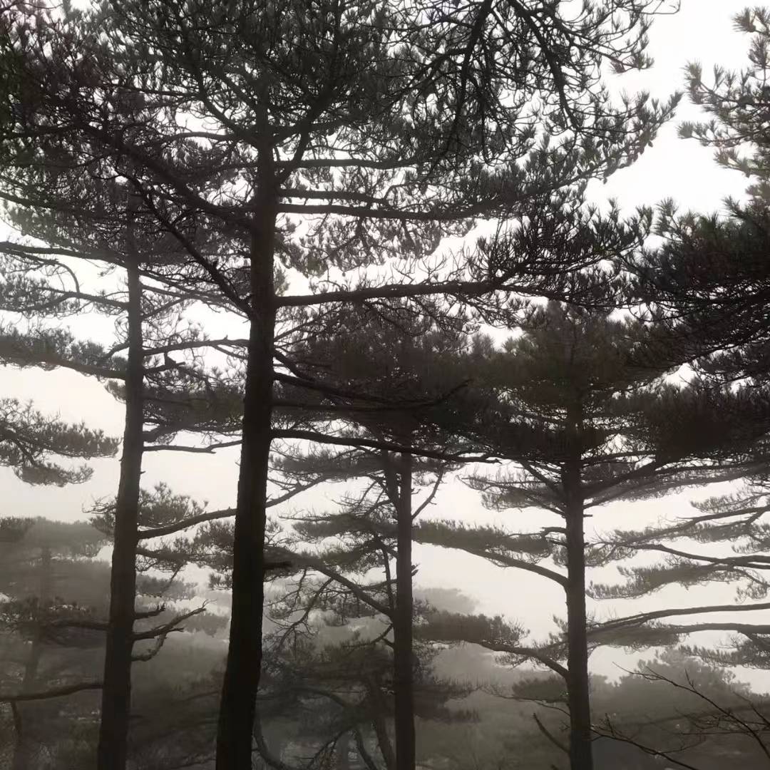 3月31号4月1号2号3号4号5号大发横财，大奖必中，横财挡不住的3大生肖