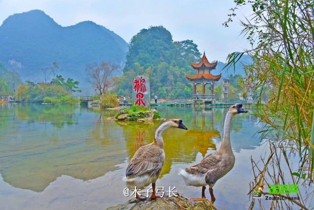 风光、自驾体验都是“王炸”！环驾中国的终极梦想在这700公里结束