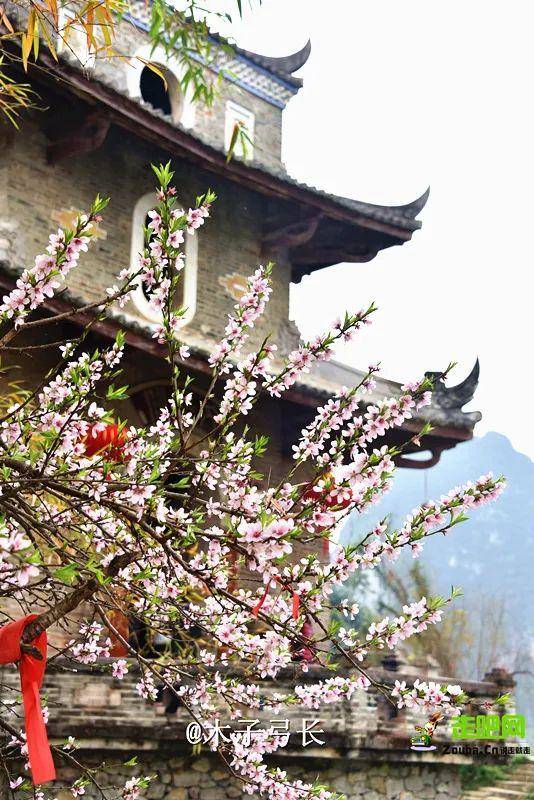 风光、自驾体验都是“王炸”！环驾中国的终极梦想在这700公里结束