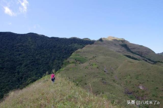 崇左市宁明县旅游景点（广西崇左宁明县六个值得一去的旅游景点）(2)