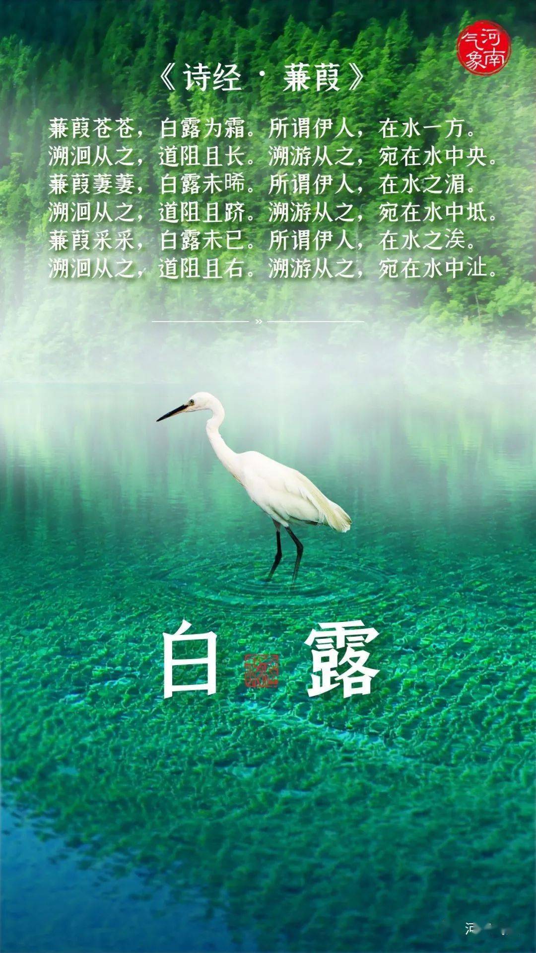 白露养生 黄帝内经_白露养生指南_白露养生