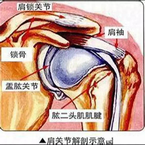 手臂痛挂什么科_手臂痛什么原因引起的_手臂痛