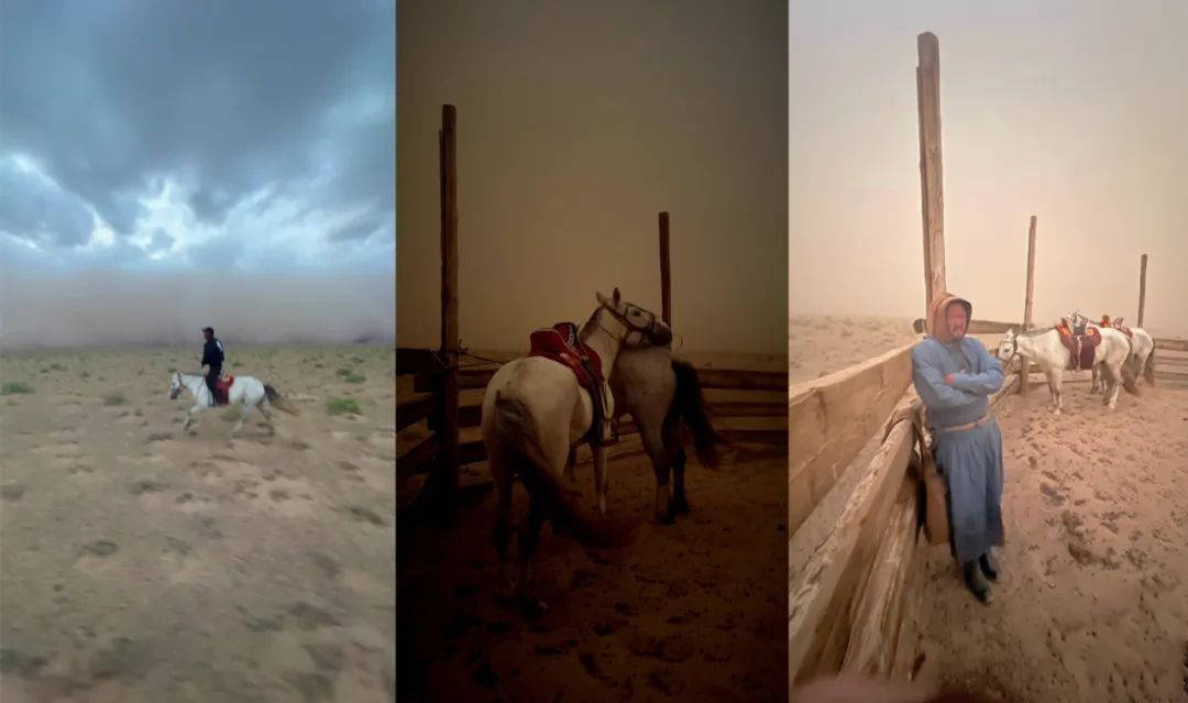 南丁：“牧三代”骑马环游蒙古国21省，传承马背文化