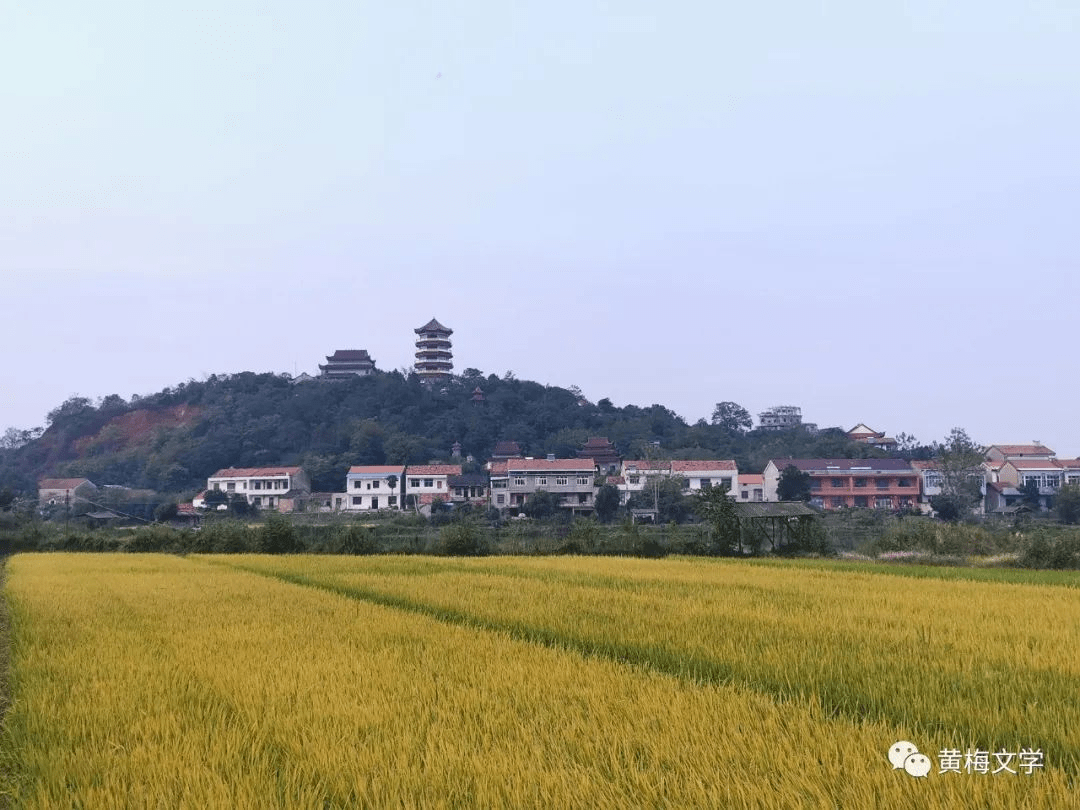 黄梅蔡山的传说（五）鲁班一夜建成江心寺的传说