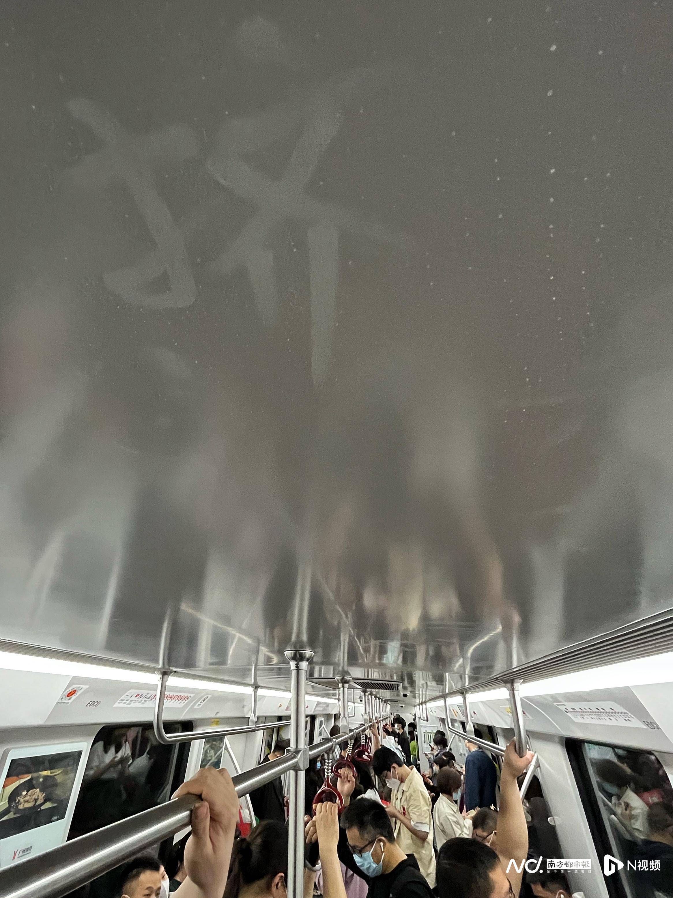3月，我们莫负春天，莫负生活，摄影记者图片精选来了