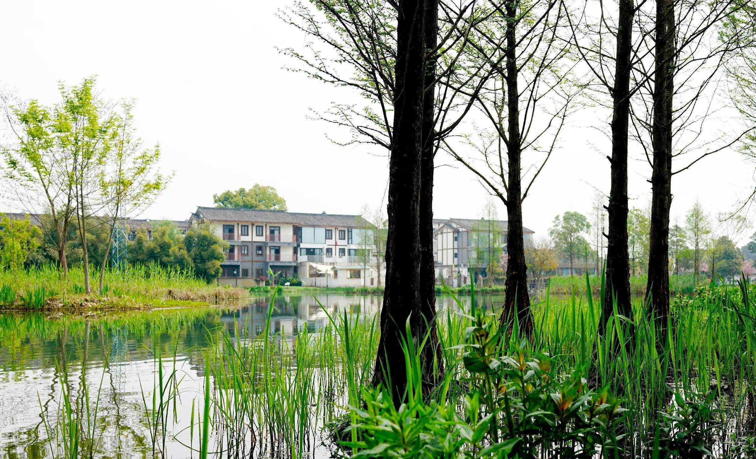 温江幸福田园湿地公园图片