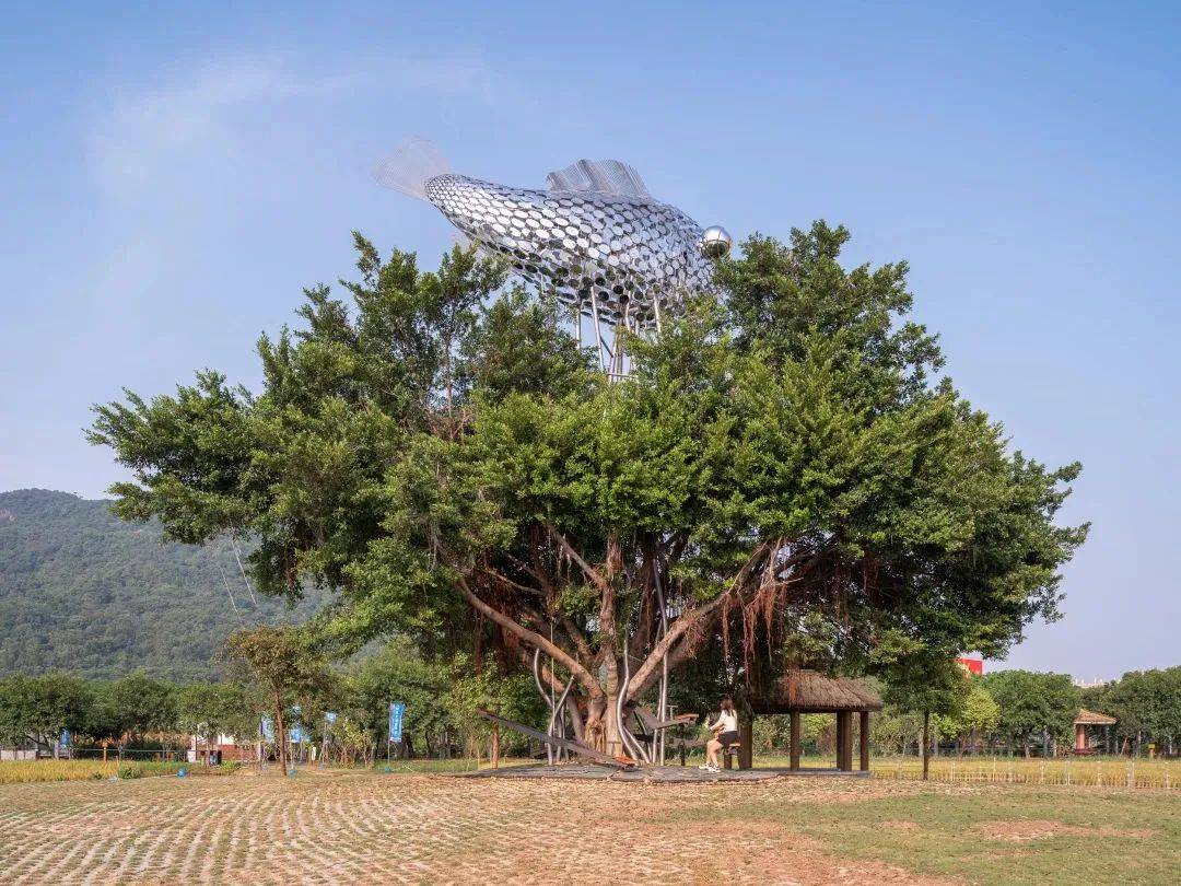 大地艺术节落地中国，会水土不服吗？