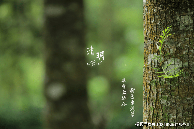 4月5号清明节，别忘吃“传统4蒸”，寓意四季安康，家人平安