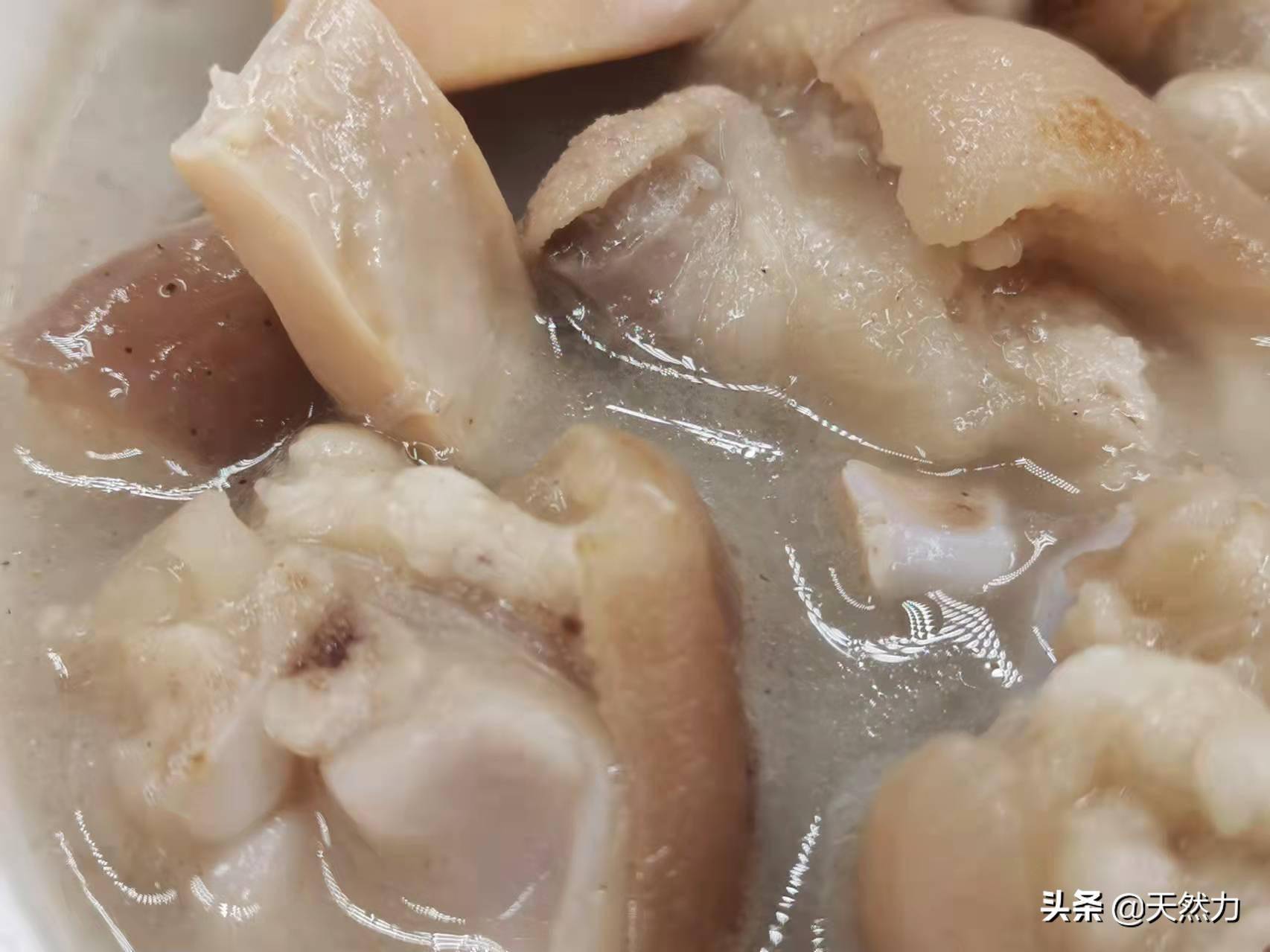 为什么广东人煲的猪脚墨鱼汤这么鲜美，窍门很简单，全家爱吃