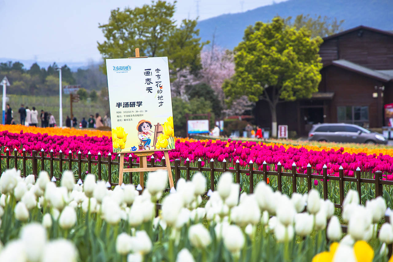 我不允许你还不知道，安徽第一目前唯一的国家级旅游度假区，半汤旅游度假村