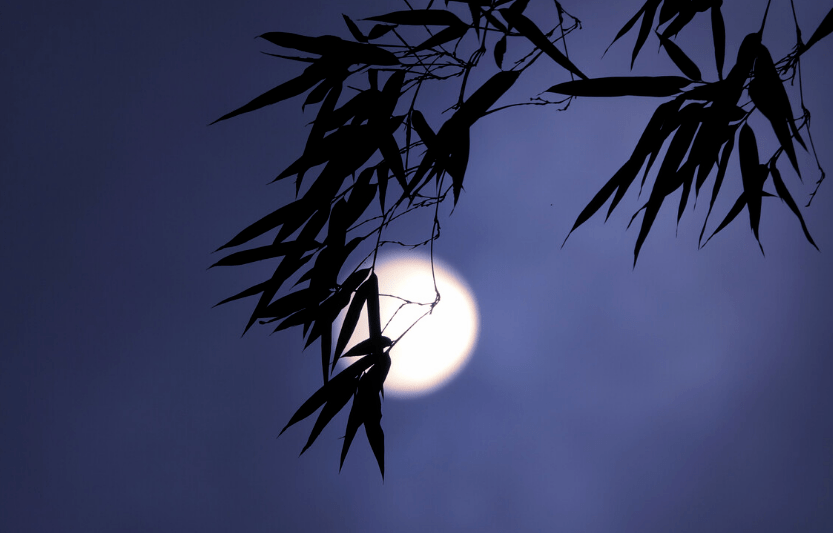 【原创诗词】三人行 | 别去黯宵寒，相约春风，春却迷归路（诗词唱和24首）