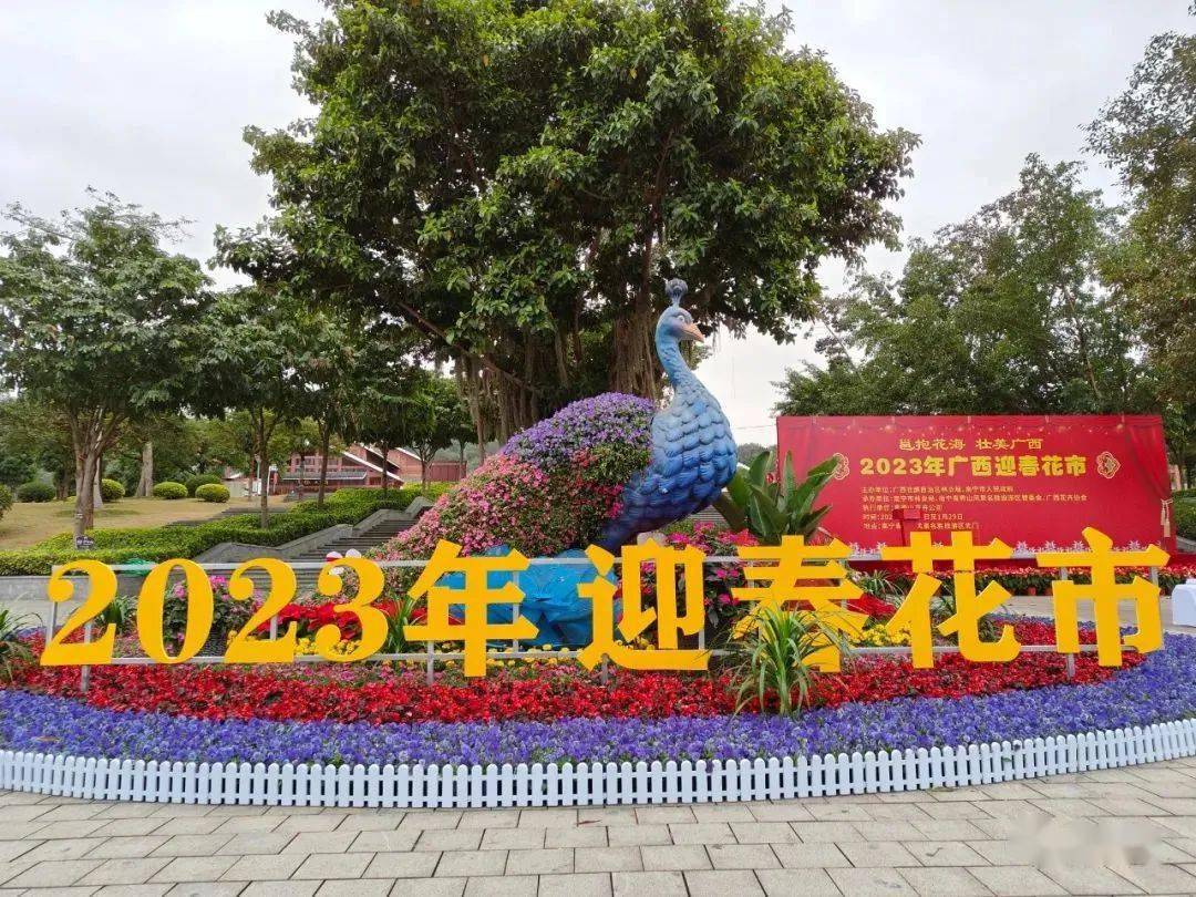 最全攻略！2023南宁春节文化旅游活动发布，邀您感受最有年味的烟火气！