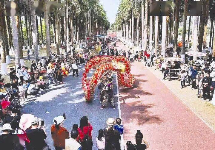 收藏转发！今年过年在南宁怎么玩？汇总在这里……